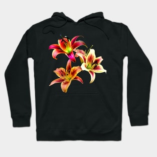 Elegant Trio of Duotone Daylilies Hoodie